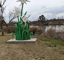 Mill Village Trailhead